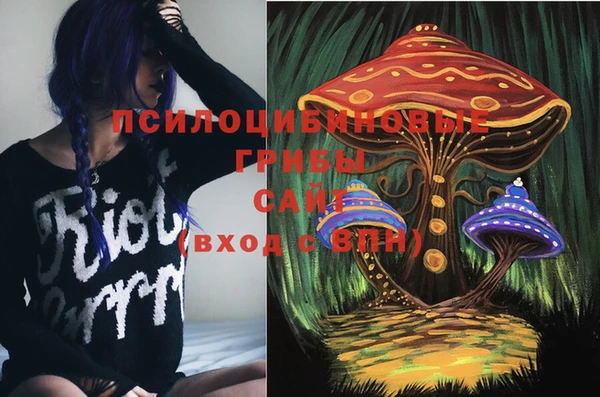 apvp Краснотурьинск