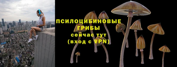 ALPHA-PVP Козловка