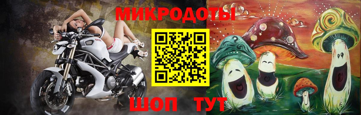 Псилоцибиновые грибы Psilocybine cubensis  Вход с VPN  что такое   Малгобек 